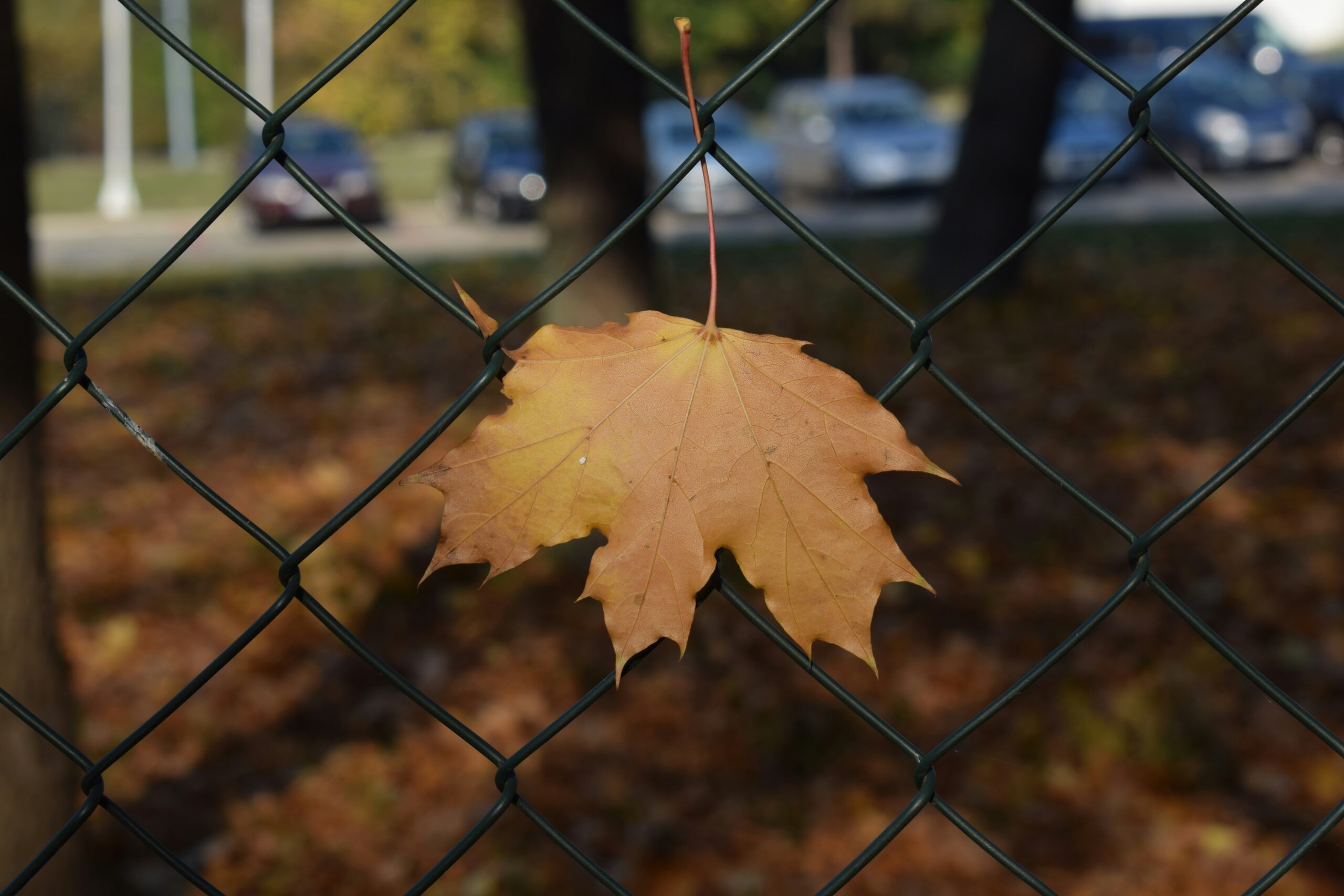 When You Are Feeling Stuck