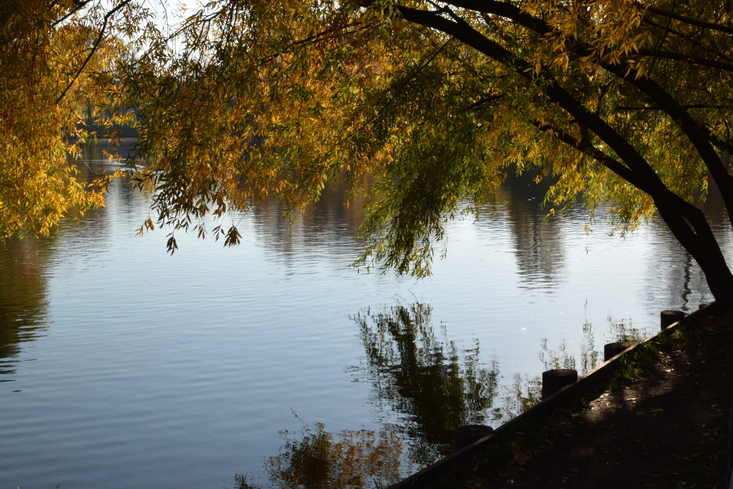 When You Feel Uncertain in Ministry