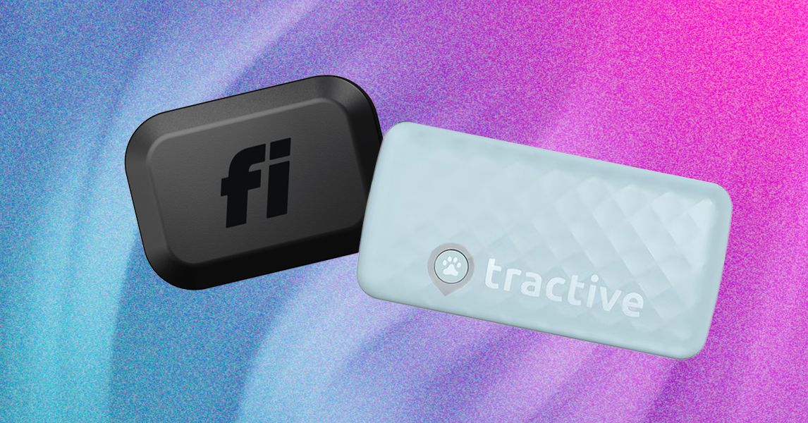 Smart Cat Collars: Which Is Best for Health and GPS Tracking?