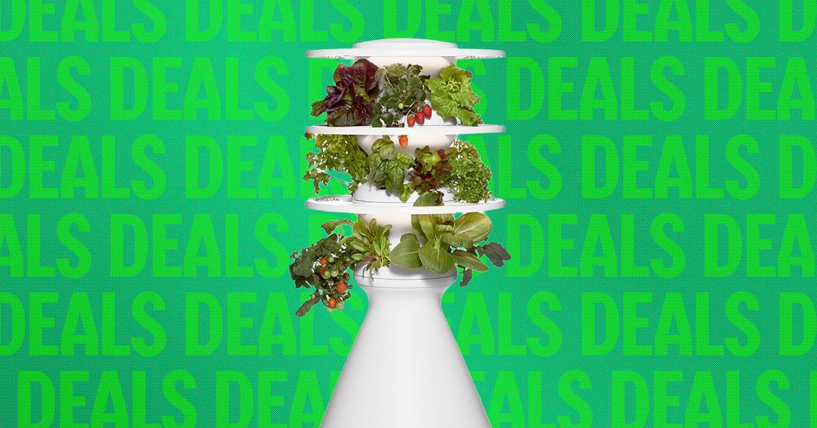 This Eye-Catching Indoor Garden Is 20 Percent Off Right Now