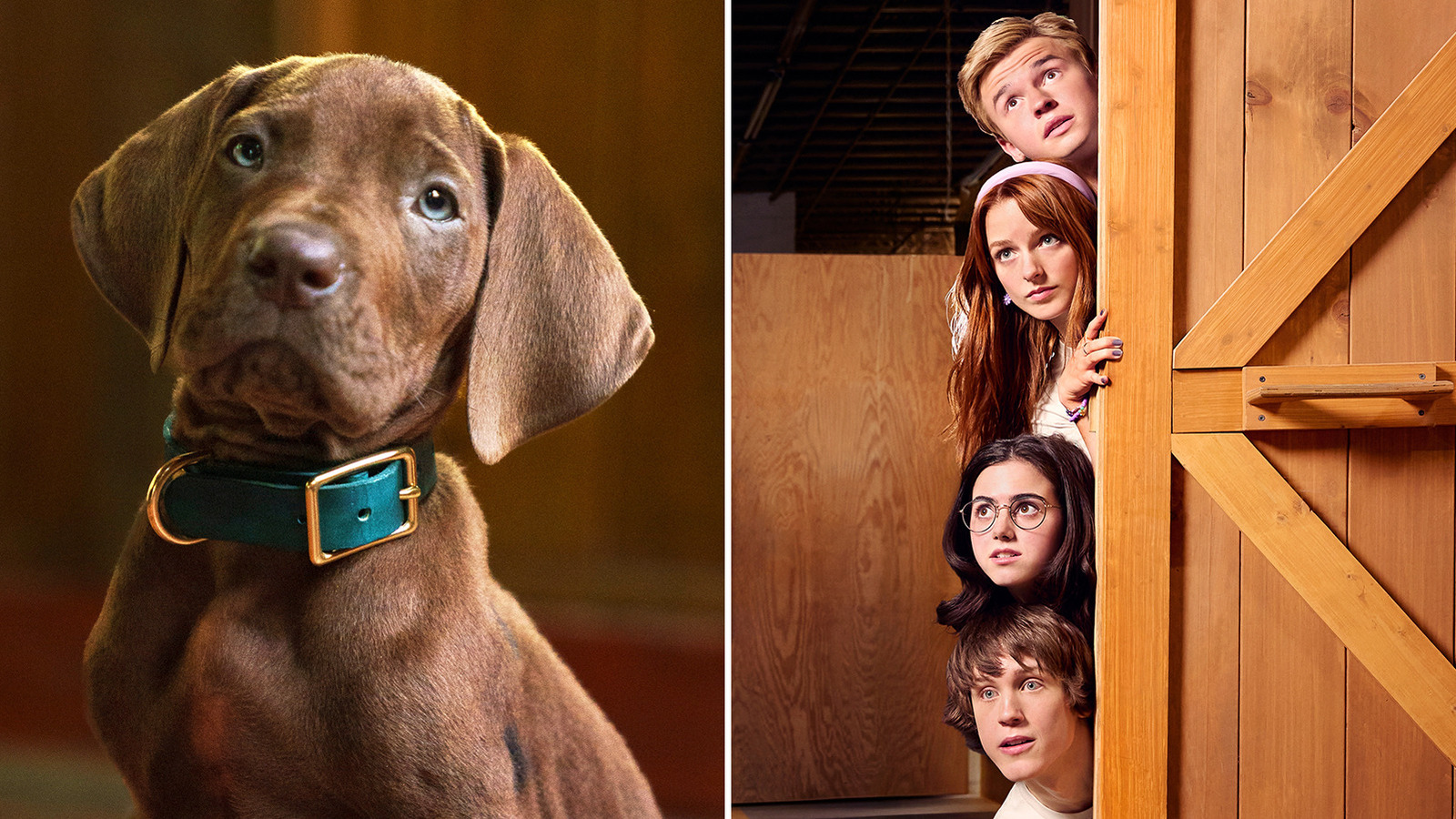 Scooby-Doo: Origins Reveals First Look At Netflix’s Live-Action Scooby — And It’s Not What We Expected