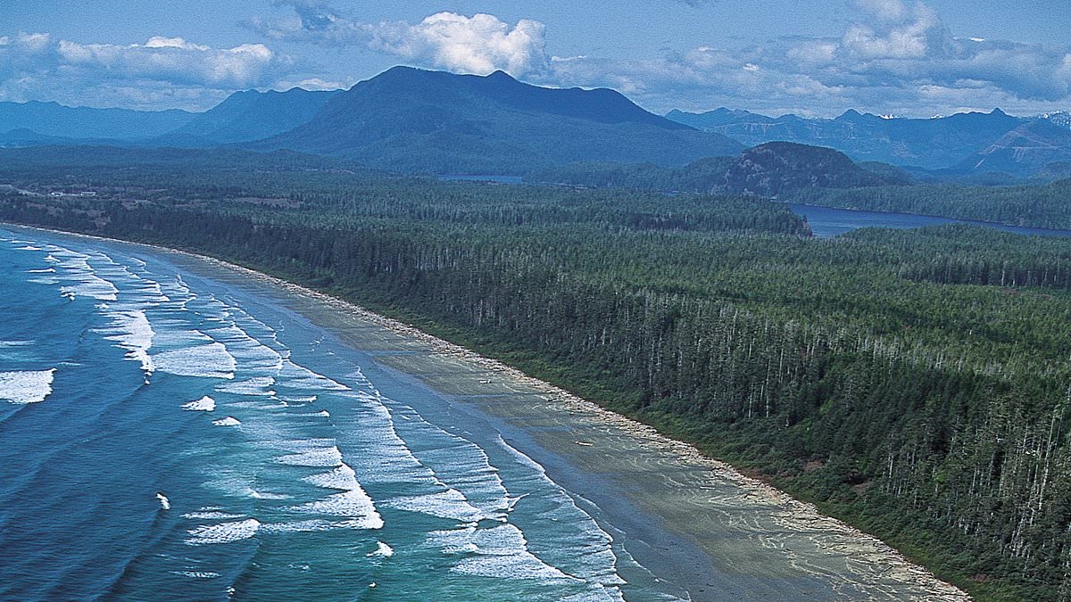 Orca spotting, foodie heaven in the wilderness and a jaw-dropping hotel: Why Vancouver and British Columbia are the perfect places to hide if England crash out of the World Cup this summer