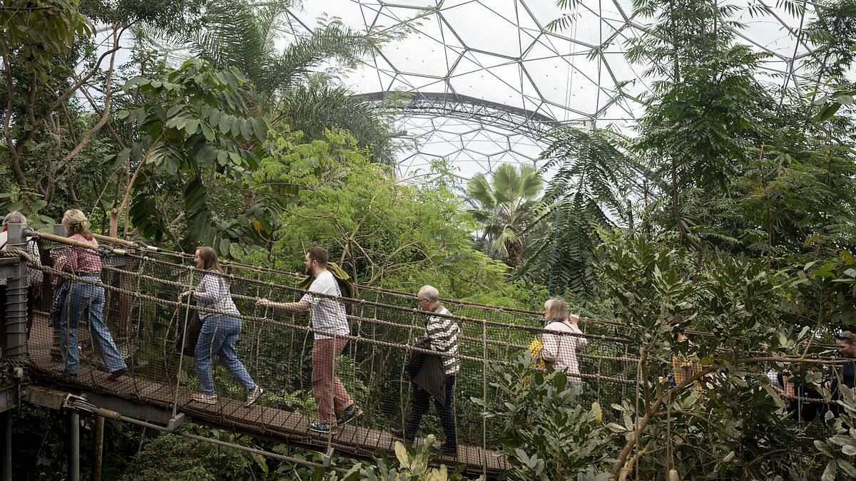 Here comes the rain: The top attractions to escape wet weather this bank holiday, from the best pub in the UK to the world’s largest indoor rainforest