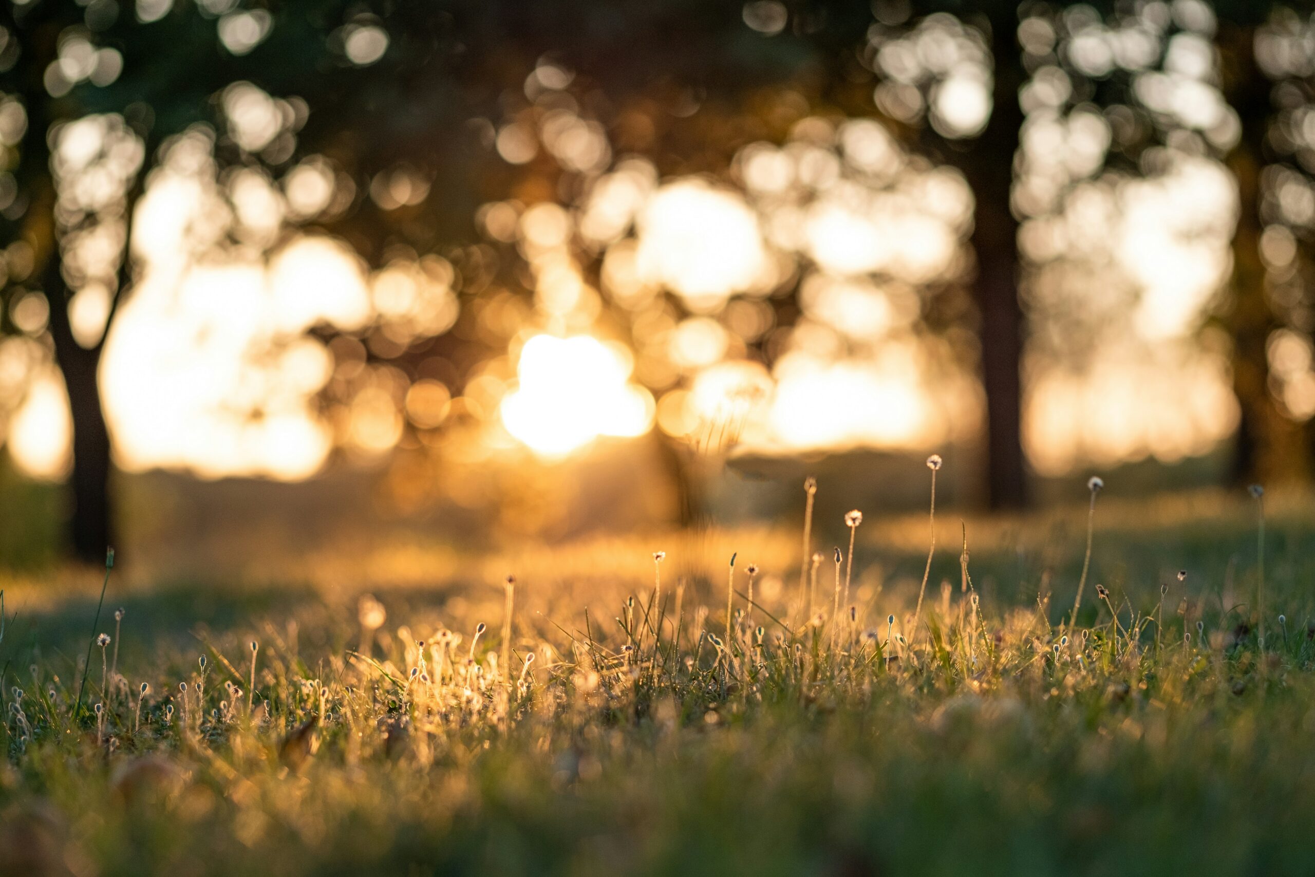Taking Time Off Takes Humility and Faith