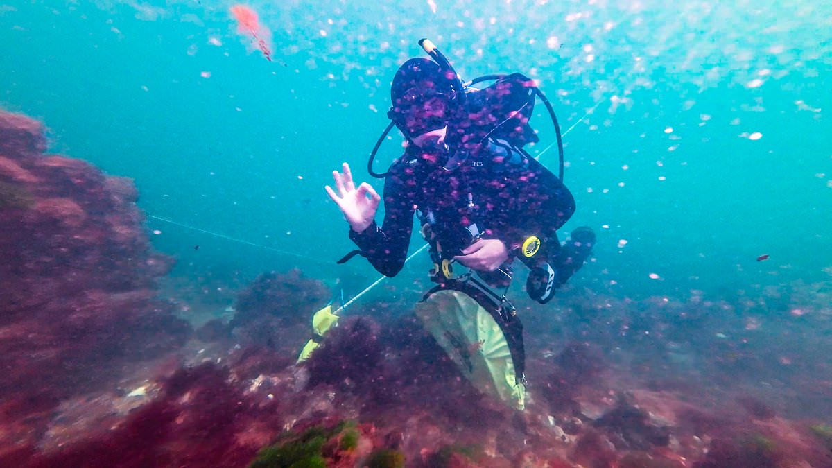 Diver explores mysterious British town beneath the sea that vanished 700 years ago and was home to just 117 people