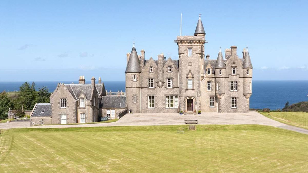 Scottish castle on a 3,000-acre estate hits the market for £9million – with 18 bedrooms and its own herd of cattle