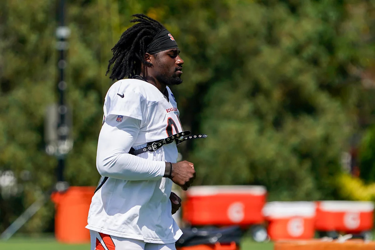 What does Shemar Stewart’s role look like for Bengals? Al Golden explains