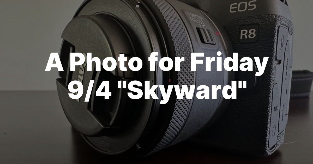 A Photo for Friday 9/4 “Skyward”